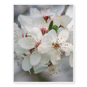 Cherry Sakura Blossom Temporary Tattoos