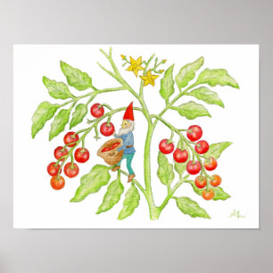 Cherry Tomato Gnome art print