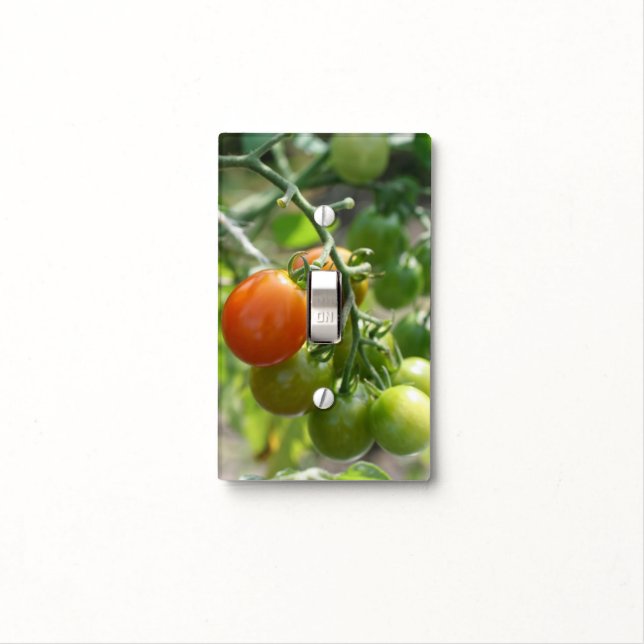 Cherry Tomatoes On The Vine Nature Light Switch Cover (In Situ)