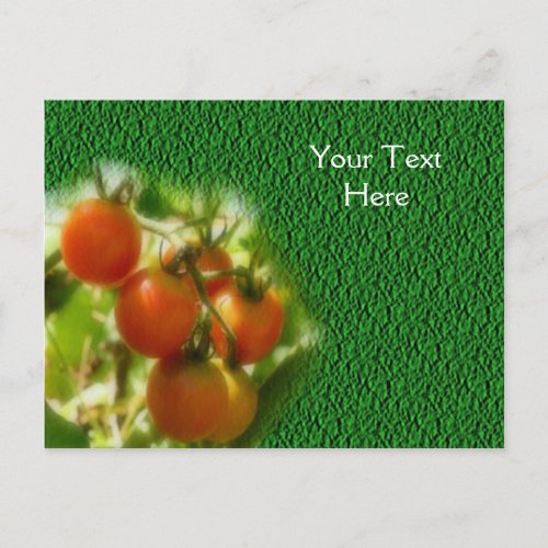 Cherry Tomatoes On The Vine Nature Postcard