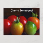 Cherry Tomatoes postcard