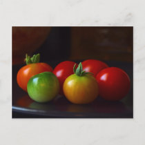 cherry-tomatos postcard