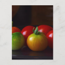 cherry-tomatos postcard
