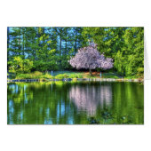 Cherry Tree (Front Horizontal)