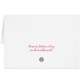 Cherry Tree Cards (Back Horizontal)