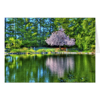 Cherry Tree Cards