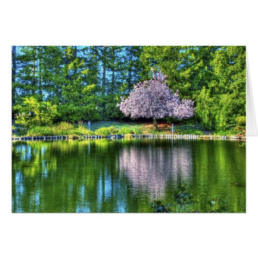 Cherry Tree Cards (Front Horizontal)