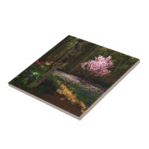 Cherry Tree Concerto Decorative Tile