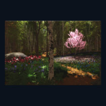 Cherry Tree Concerto Photo Print