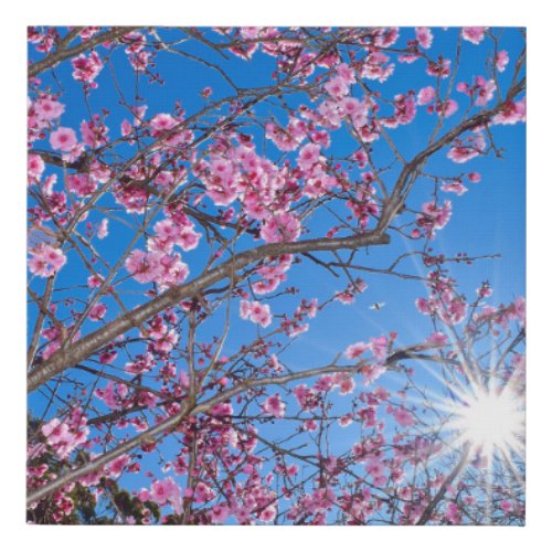 Cherry Tree in Bloom Faux Canvas Print