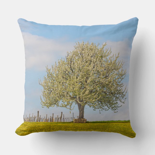Cherry Tree In Spring Throw Pillow (Front)