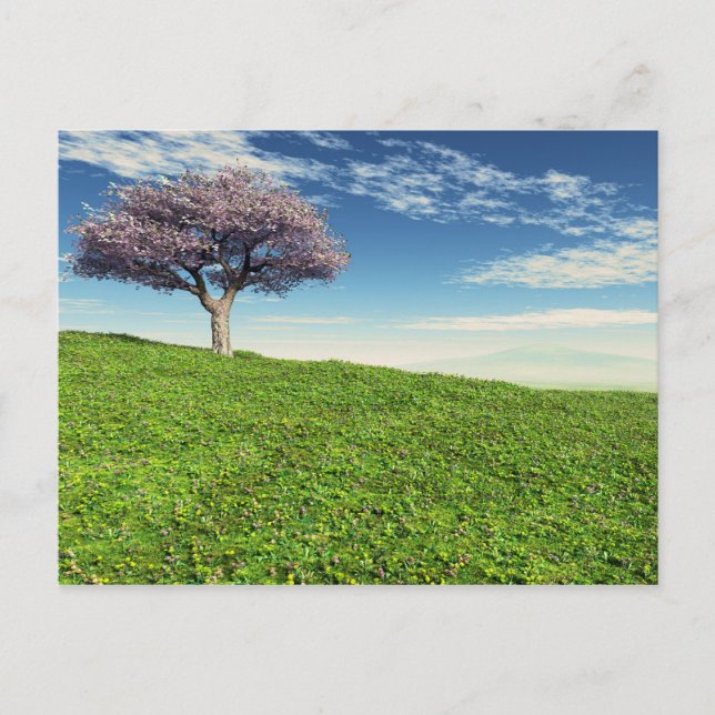 Cherry Tree Postcard (Front)