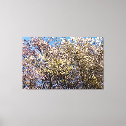 Cherry Trees In Full Bloom On A Warm Day Of Spring Canvas Print