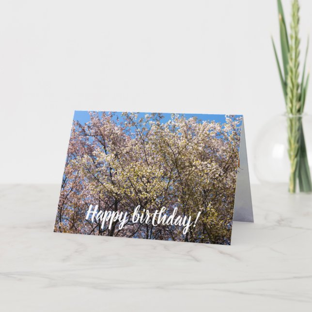 Cherry Trees In Full Bloom On A Warm Day Of Spring Card (Front)