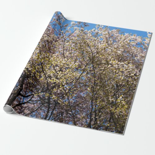 Cherry Trees In Full Bloom Wrapping Paper