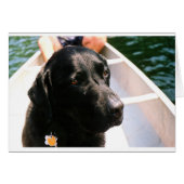 Chert Dog (Front Horizontal)