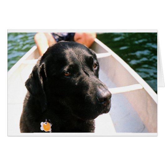 Chert Dog Cards (Front Horizontal)