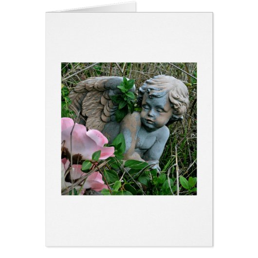 Cherub in the Grass Cards (Front)
