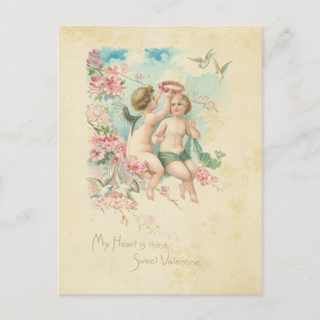 Cherub Valentines Day Vintage Angel Pink February Postcard (Front)