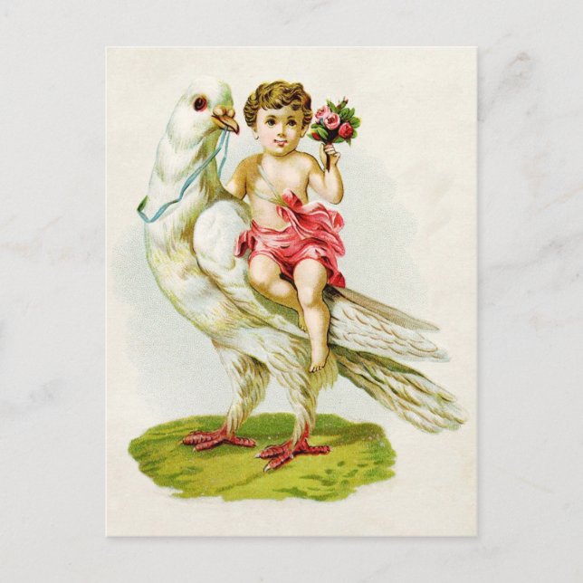 Cherub with Roses Riding a Dove Postcard (Front)