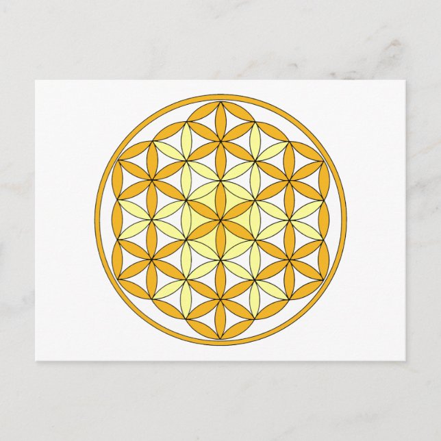 Cherubim2 Postcard (Front)