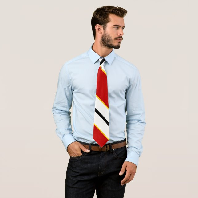 Chesapeake Armor Neck Tie (In Situ)