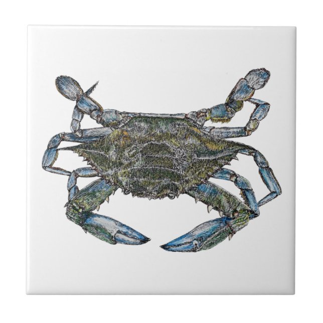 Chesapeake Bay Blue Crab Ceramic Tile (Front)