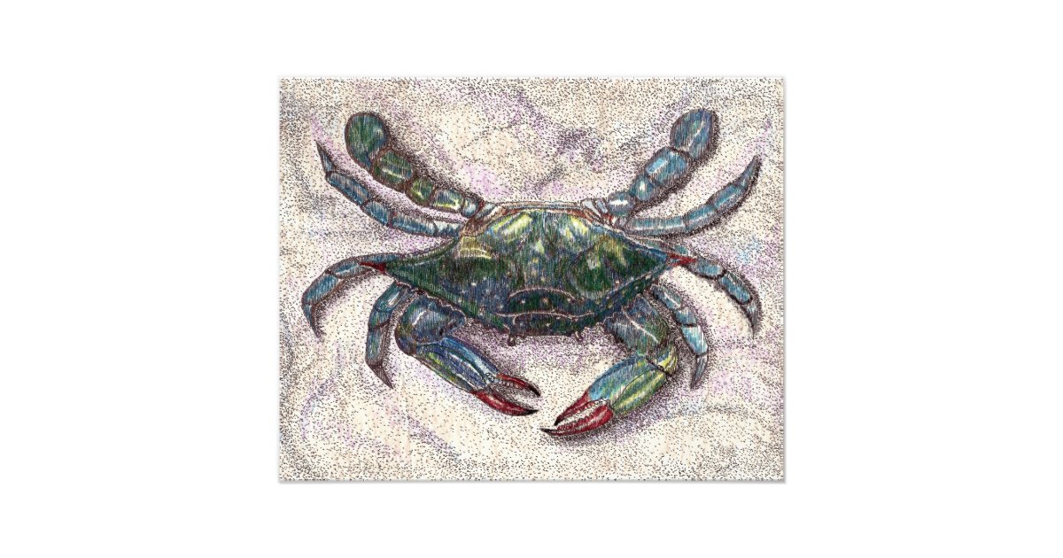 Chesapeake Bay Blue Crab Photo Print | Zazzle