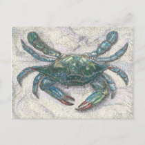 Chesapeake Bay Blue Crab Postcard