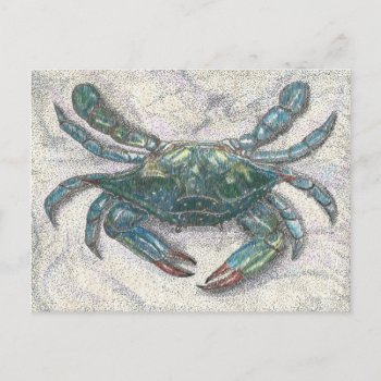 Chesapeake Bay Blue Crab Postcard by Eclectic_Ramblings at Zazzle