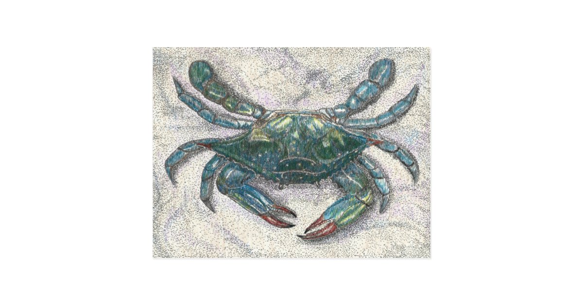 Chesapeake Bay Blue Crab Postcard | Zazzle.com