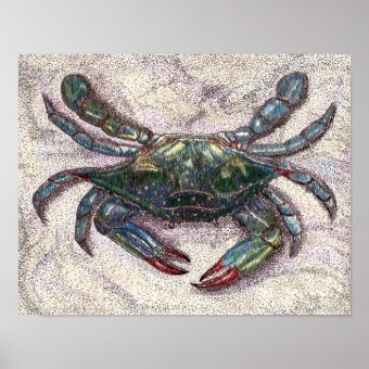 Chesapeake Bay Blue Crab Poster | Zazzle