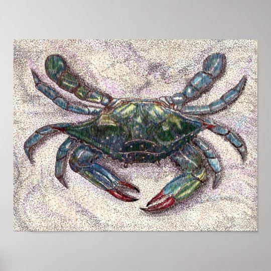 Chesapeake Bay Blue Crab Poster | Zazzle.com