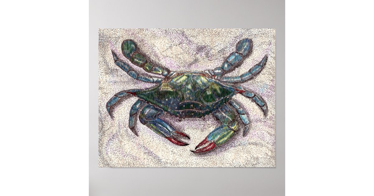 Chesapeake Bay Blue Crab Poster | Zazzle