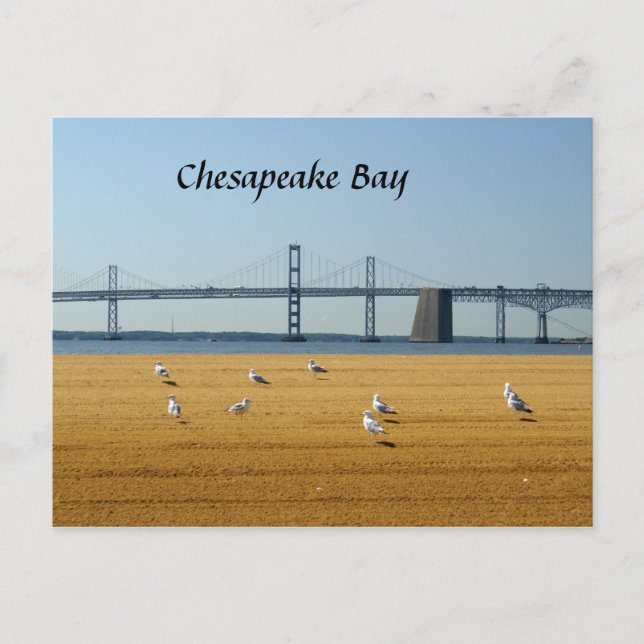 Chesapeake Bay Bridge Postcard (Front)