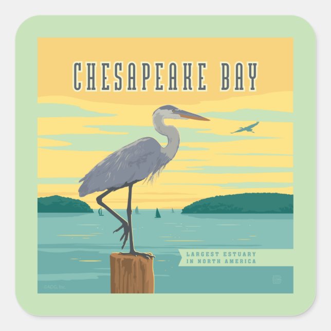 Chesapeake Bay Largest Estuary In North America Square Sticker (Front)
