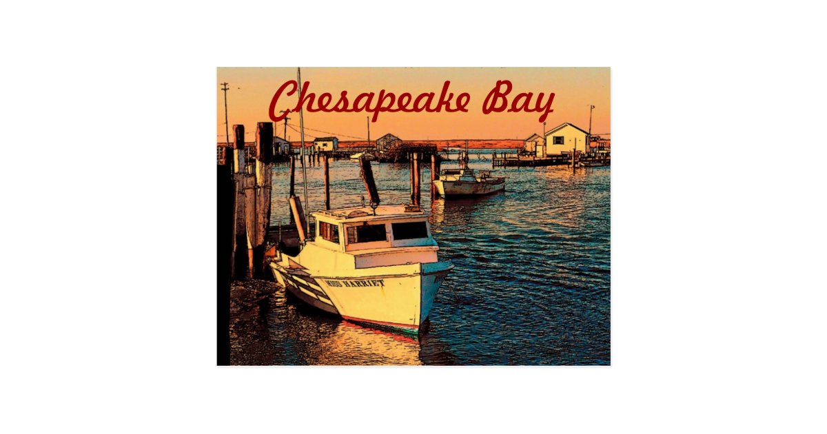 Chesapeake Bay Postcard | Zazzle.com