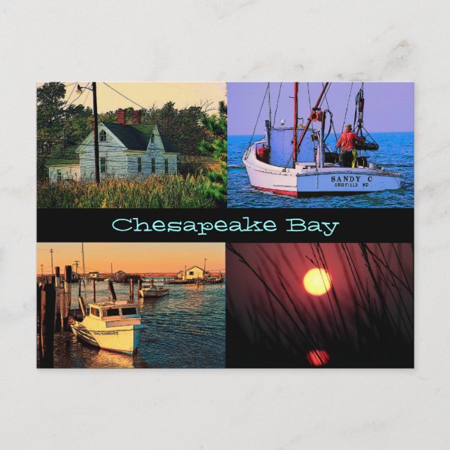 Chesapeake Bay Postcard (Front)