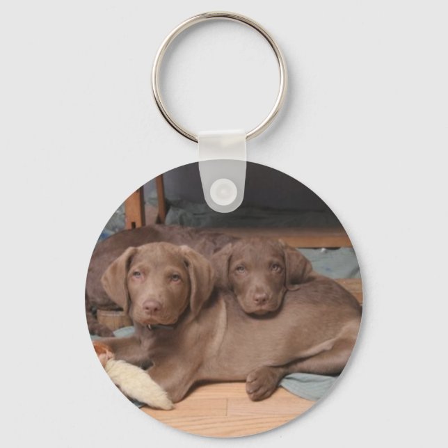 Chesapeake Bay Recover Keychain (Front)