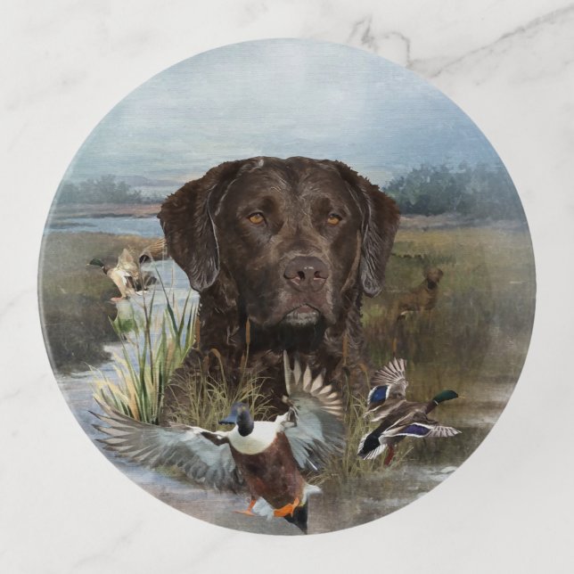 Chesapeake Bay Retriever, Art  Trinket Tray (Front)