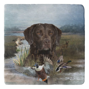 Chesapeake Bay Retriever, Art  Trivet