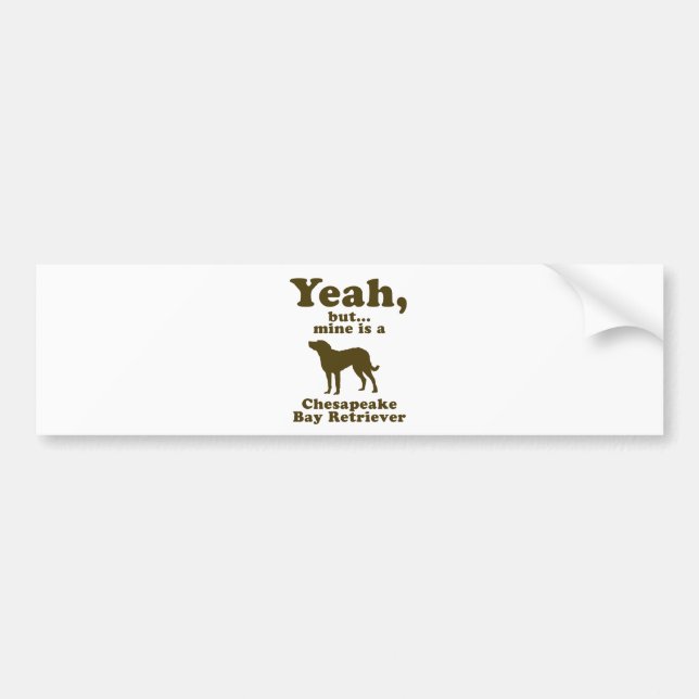 Chesapeake Bay Retriever Bumper Sticker (Front)