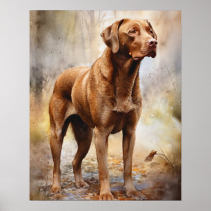 Chesapeake Bay Retriever Dog Art Print Poster