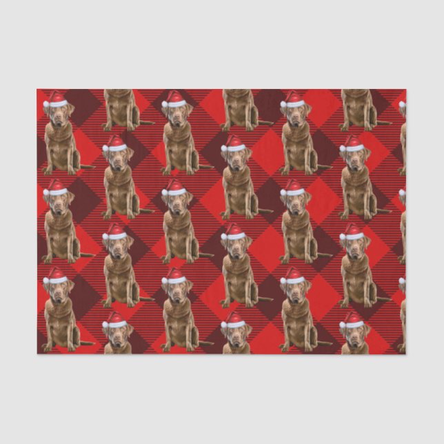 Chesapeake Bay Retriever Dog Christmas Holiday Tissue Paper (Front)