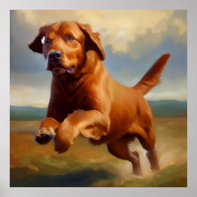 Chesapeake Bay Retriever Dog Poster (Front)