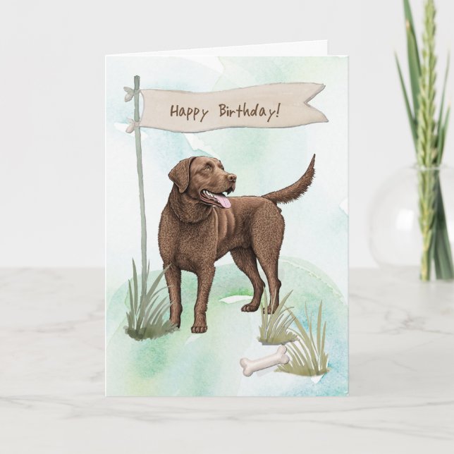 Chesapeake Bay Retriever Dog Under Birthday Sign Card (Front)
