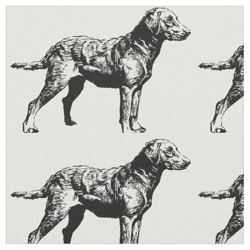 Chesapeake_Bay_Retriever_drawing.png Fabric