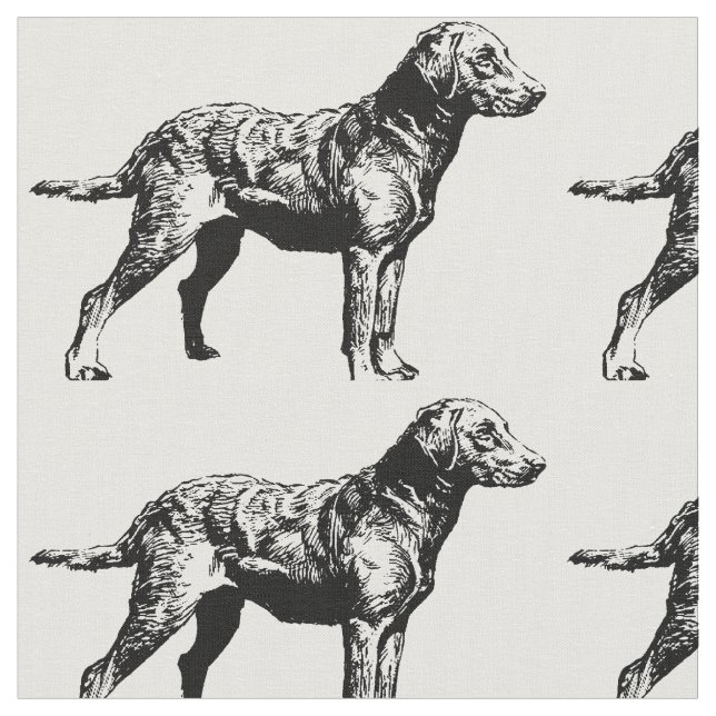 Chesapeake_Bay_Retriever_drawing.png Fabric (Close Up)