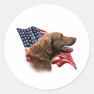 Chesapeake Bay Retriever Flag Classic Round Sticker