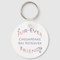 Chesapeake Bay Retriever Furever